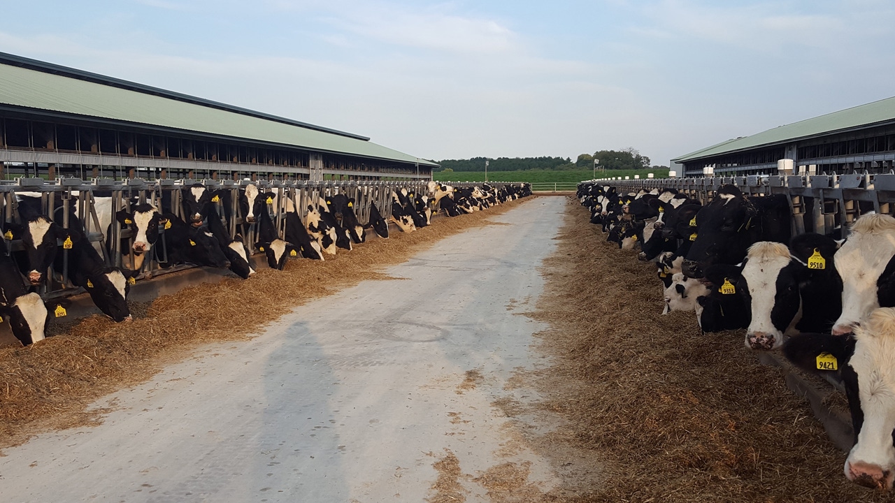 How could tax law changes affect you in 2025?