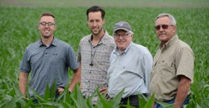 Four men standing in corn field