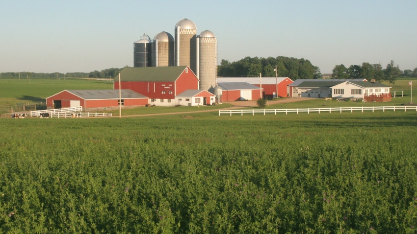Dairy farm with red buildings and silos, with an alfalfa field in the foreground
