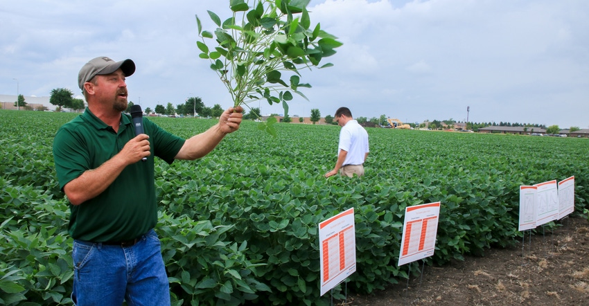 Precision Planting agronomist Jason Webster holds up a soybean plant at a field day
