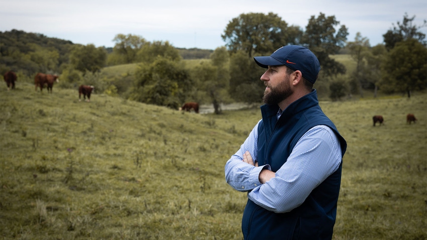 A man looking over a pasture where cattle graze A man looking over a pasture where cattle graze