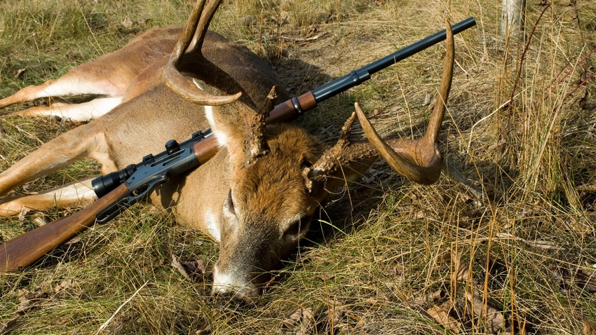 Michigan Whitetail deer and the firearm used to harvest the animal