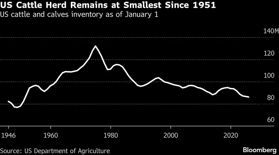 U.S. cattle herd stays at 75-year low, keeping beef prices high