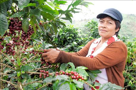 10_things_didnt_know_colombian_coffee_1_636078965633109306.jpg