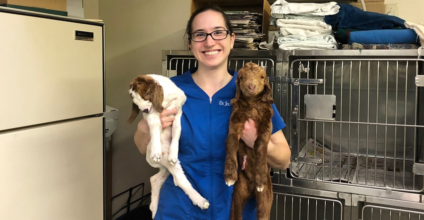 Dr. Jessica Glomb holding two young goats Dr. Jessica Glomb holding two young goats