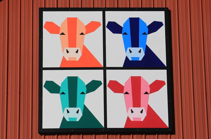 350th barn quilt titled Cows of Different Colors