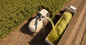 Aerial view of corn being harvested for silage