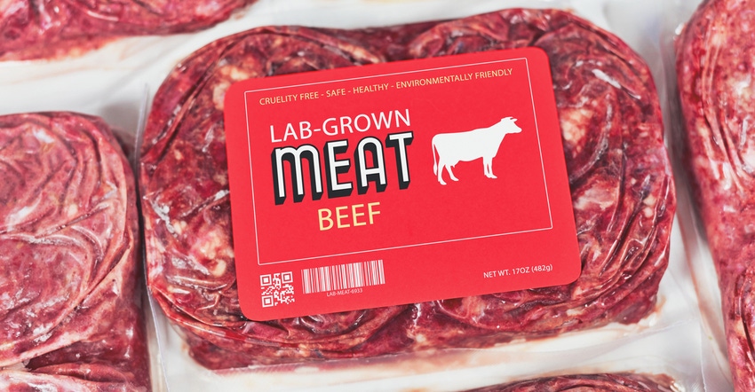 lab grown cultured meat concept