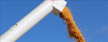 top_10_average_corn_yields_missouri_region_1_636141358675048790.jpg