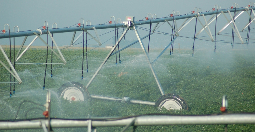 Irrigation in field Irrigation in field