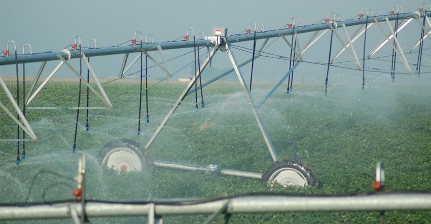 Irrigation in field