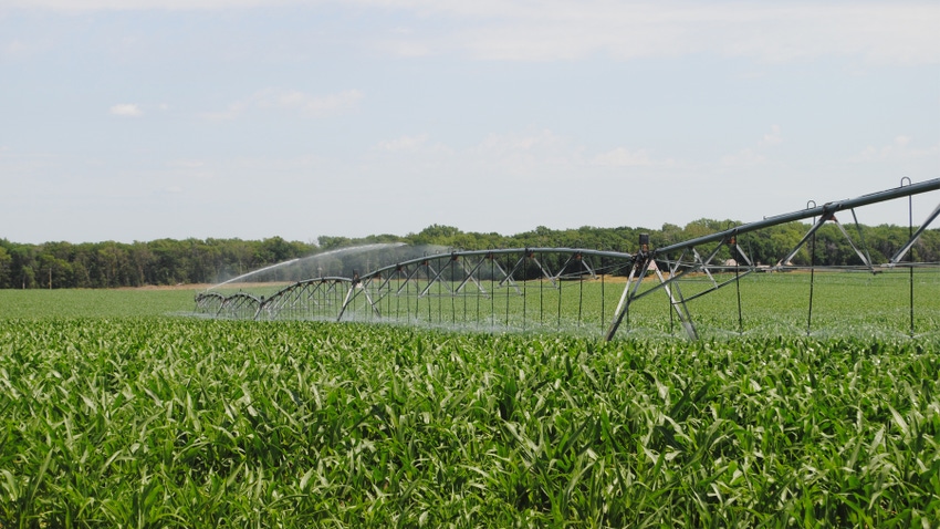 center pivot irrigation system in cornfield