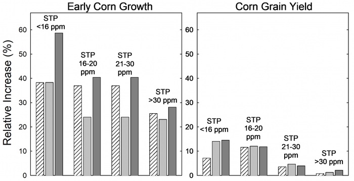 4-25-22 early_corn_growth.png