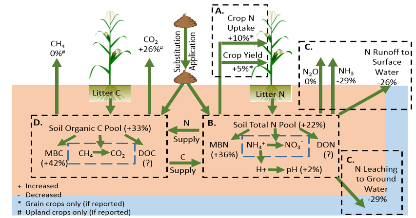 Manure’s impact on yield, nitrogen, and carbon