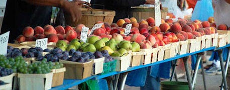 usda_purchase_more_fruits_veggies_needy_families_1_635246047967429739.jpg