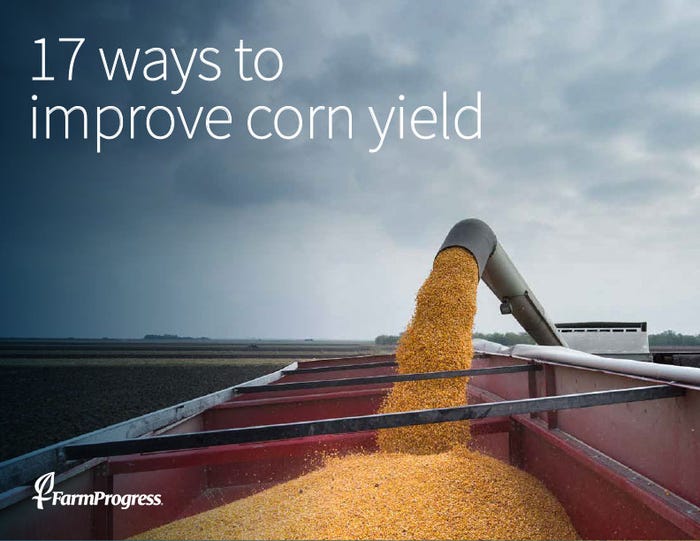 increase corn yield