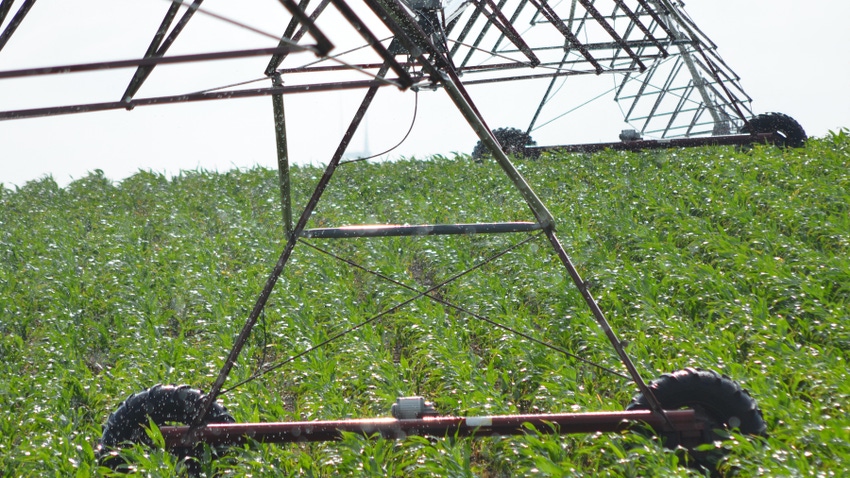 pivot irrigation in cornfield