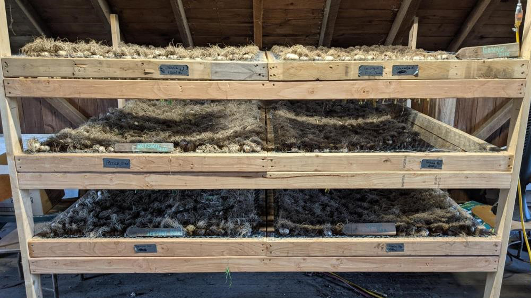 Wisconsin garlic farm thrives on small plot