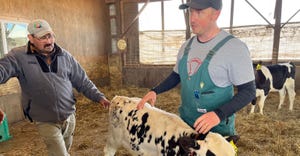 veterinarian Joe Armstrong being assisted by farmer Javier Garcia during a calf class demonstration