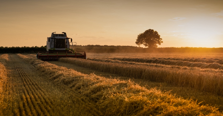 harvester cutting cereal at sunset