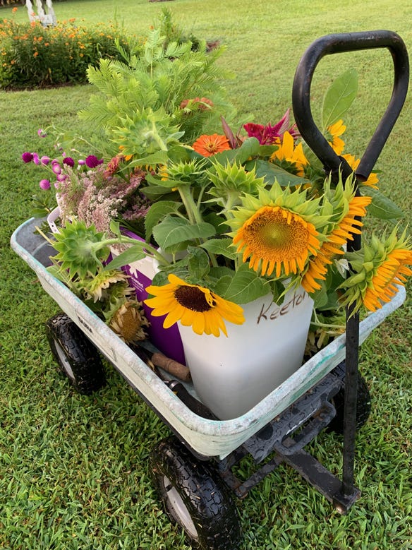 sunflowers or other flowers in wagon