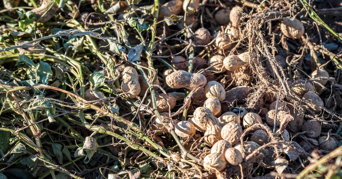 New federal labs aim to rebuild export markets for U.S. farmers