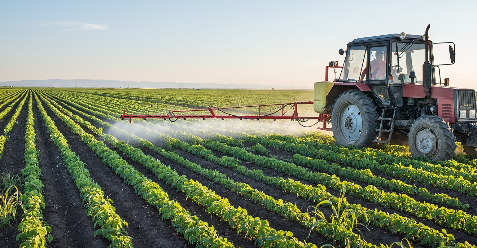 agriculture field