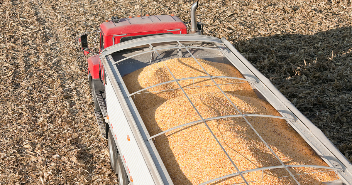 USDA August Crop Production Report known to spark wild swings