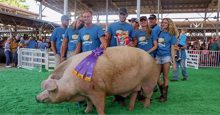 Captain, the Big Boar winner at this year’s Iowa State Fair
