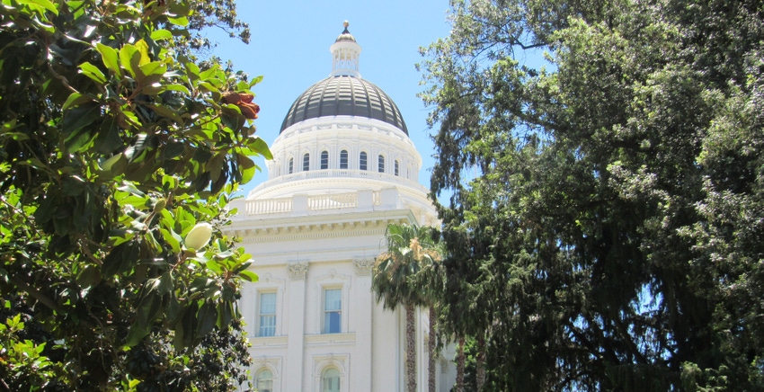 WFP-hearden-sac-capitol-dome.JPG WFP-hearden-sac-capitol-dome.JPG