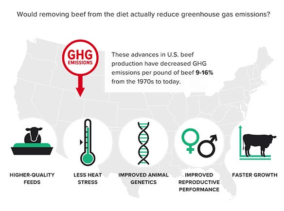 graphic of GHG emissions