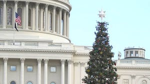 This Week in Agribusiness - Capitol Christmas Tree