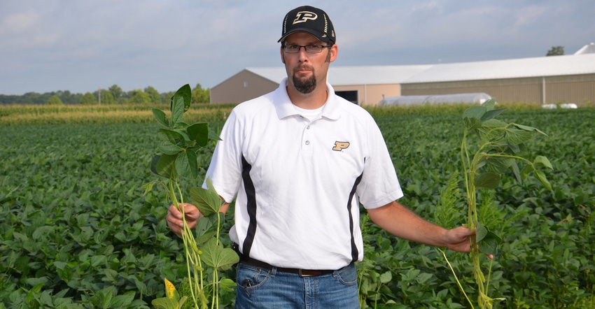Shaun Casteel in soybean field
