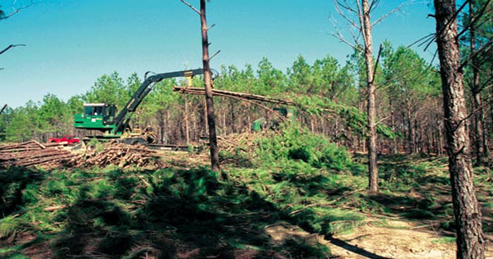 Tax resource guide available to timber owners | Farm Progress