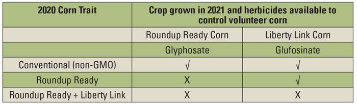 Table 1. In-season corn herbicide options for control of volunteer corn.  signifies an effective control option, while  signifies an ineffective option.