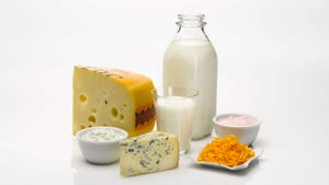 Product shot of various diary products including: cheese, milk and yogurt