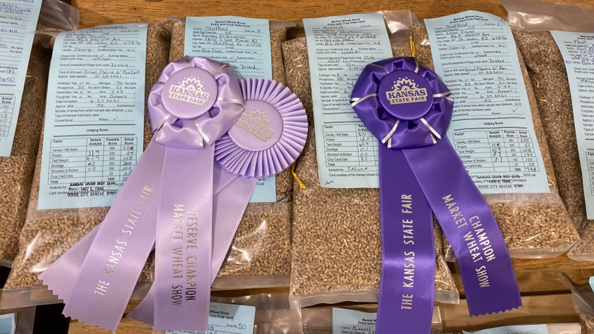 Champion, reserve champion ribbons for Market Wheat Show at Kansas State Fair