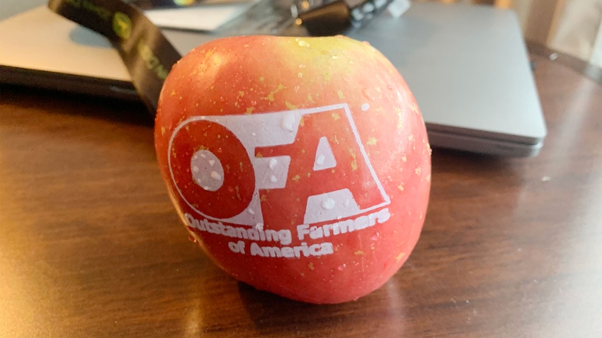 An apple with with the Outstanding Farmers of America logo