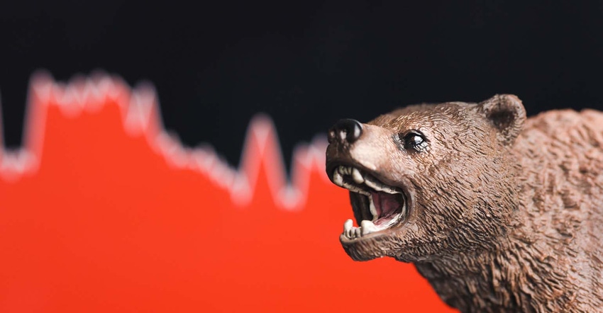 downward graph and bear with teeth out downward graph and bear with teeth out