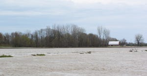 Flooded Michigan farm land