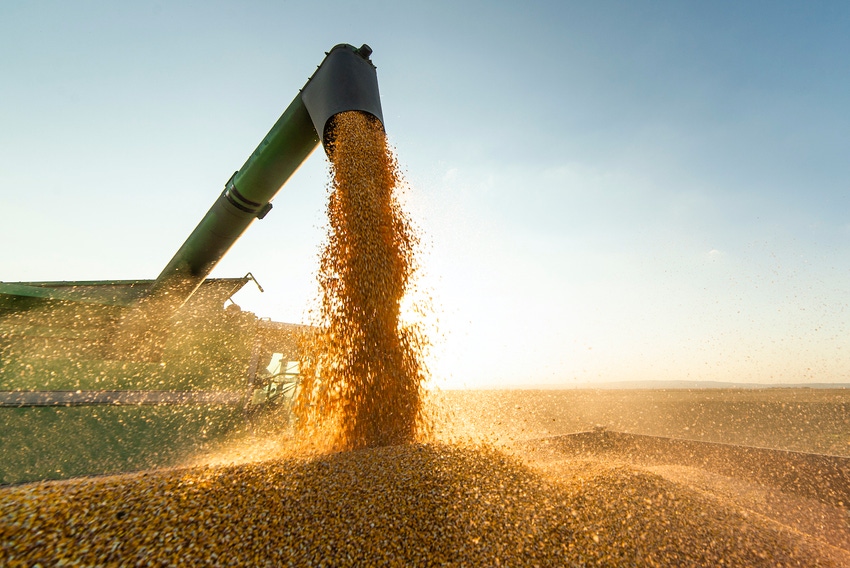 soybean-harvest-1282700817.jpg soybean-harvest-1282700817.jpg