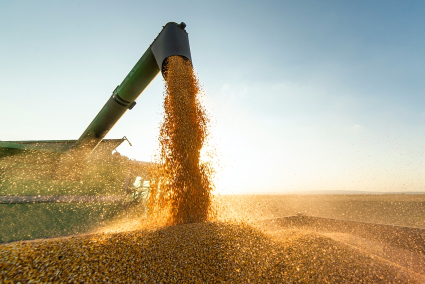 soybean-harvest-1282700817.jpg