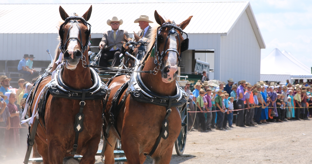 Horse Progress Days returns to Illinois | Farm Progress