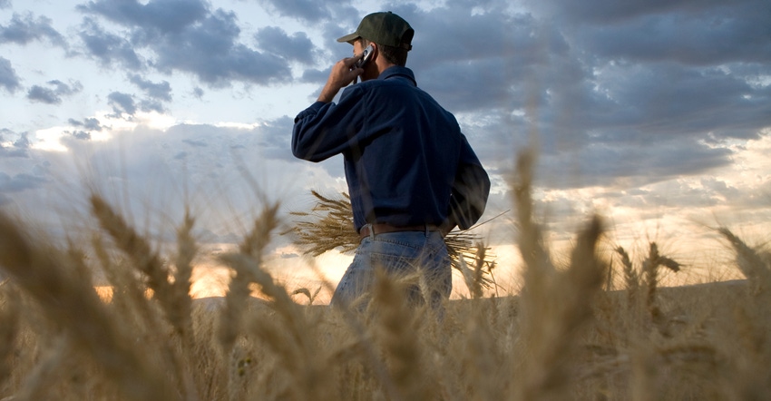 farmer standing in wheat field talking on cell phone
