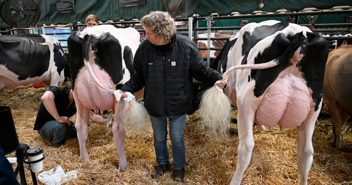 World Dairy Expo 2026 showcases AI tech and focus on dairy components