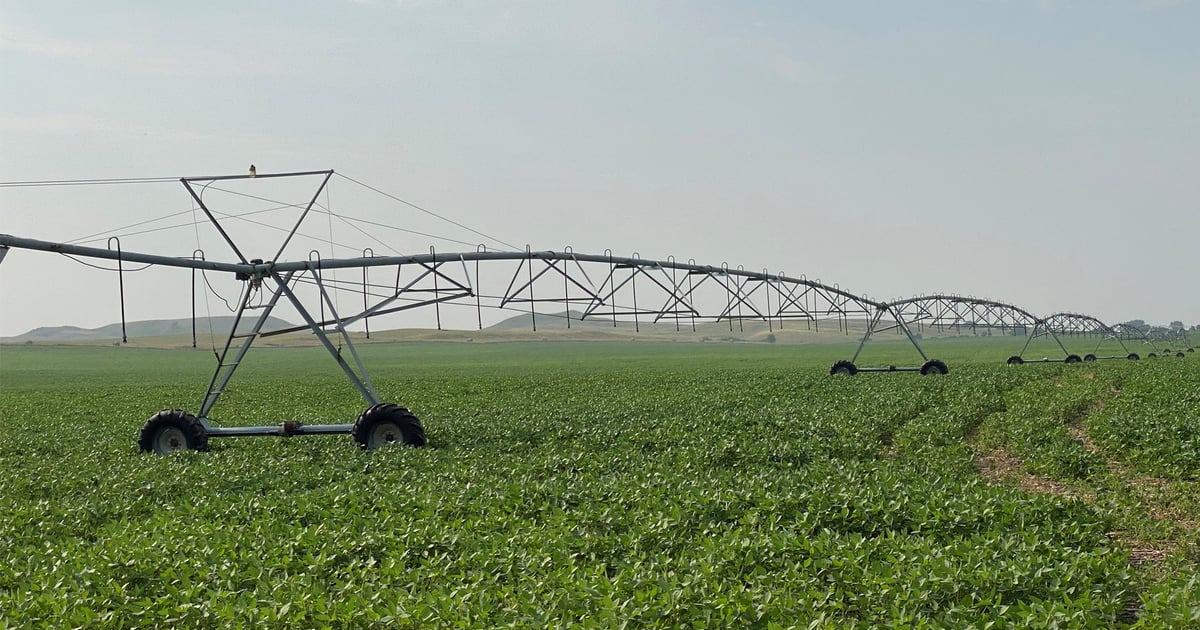 Crop diversity keeps Dakotas’ ag industry humming