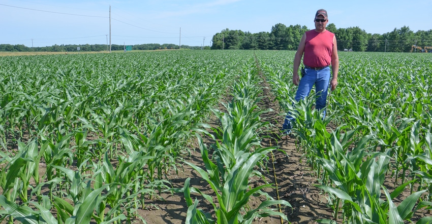 Pete Illingworth in cornfield