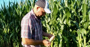 Corey Stutchal of Harrisville, Pa., examining an ear of corn