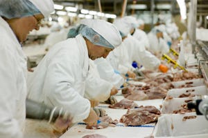 Slaughter processing