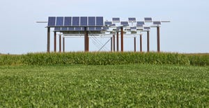 solar panel standing above cornfield